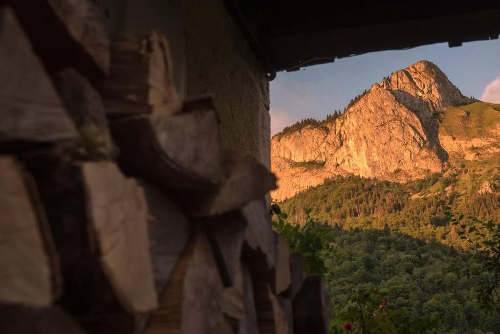 Le Bel Appartement De Montagne Bellevaux Ngoại thất bức ảnh